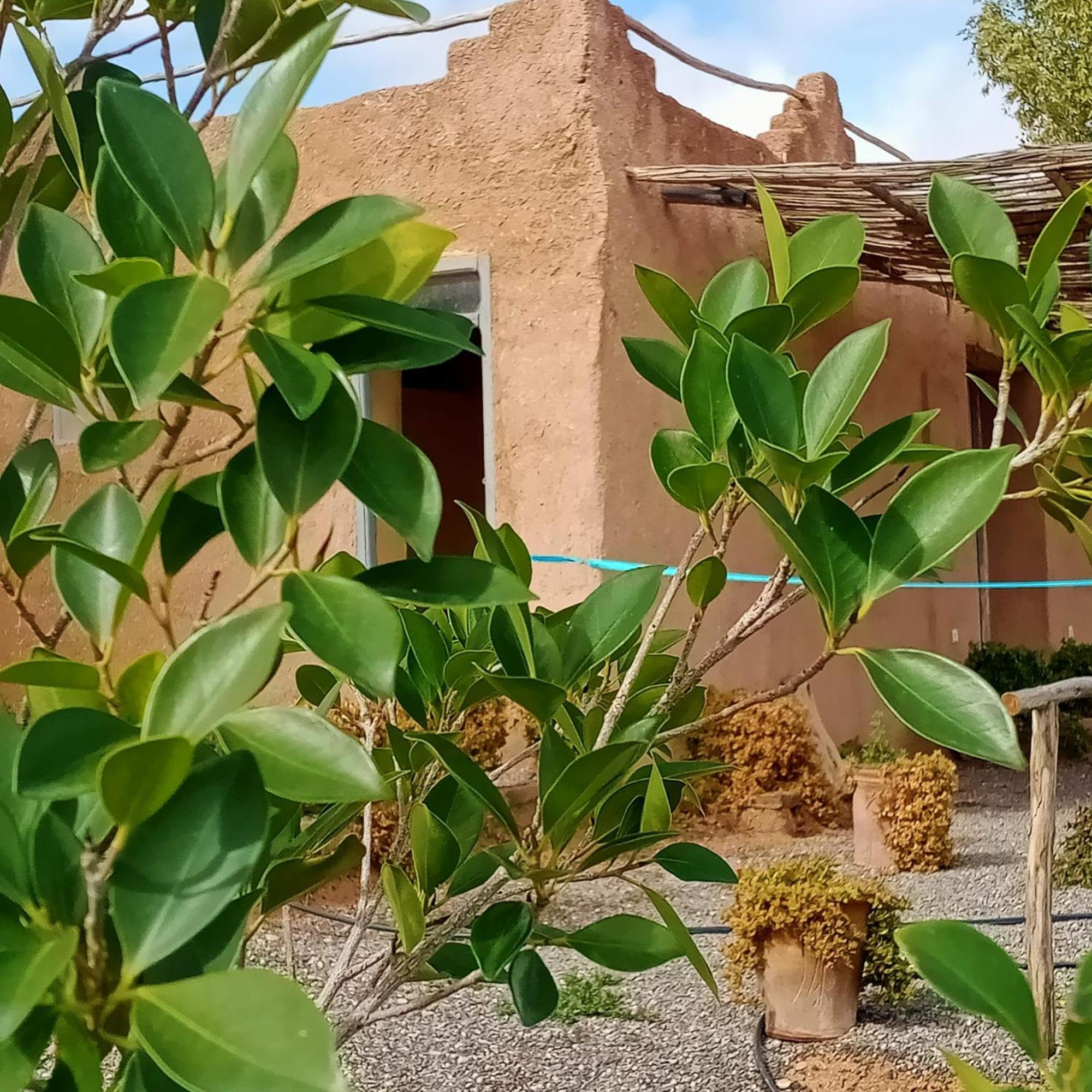 Hotel Ngayan Camp Taïzelt Exteriér fotografie